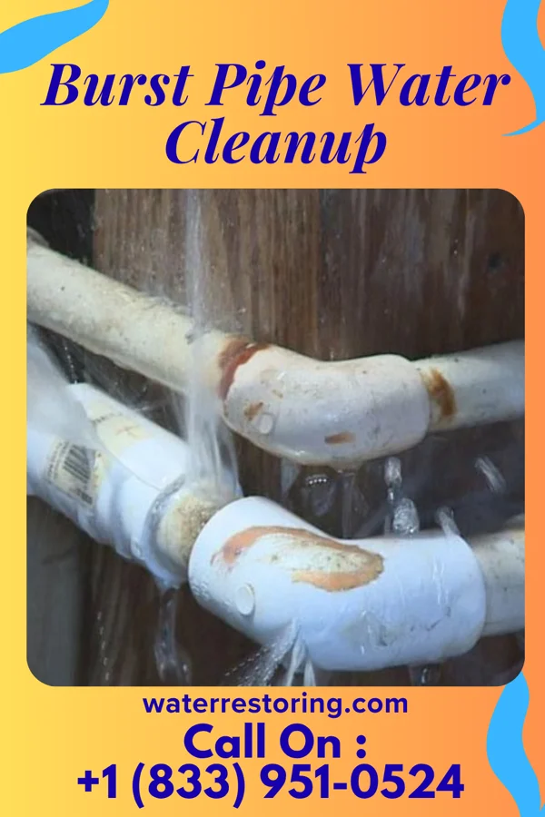 Burst Pipe Water Cleanup in Chesterville, OH