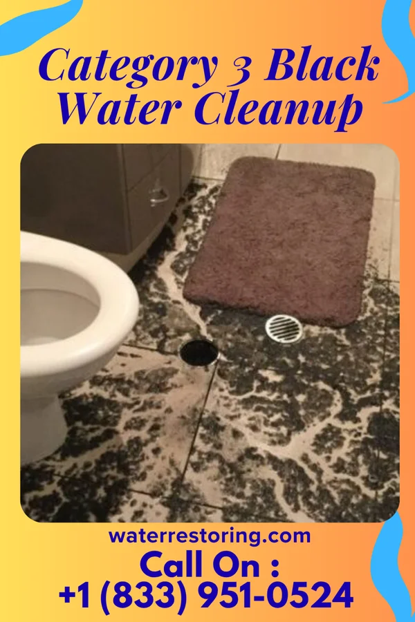 Category 3 Black Water Cleanup in Chesterville, OH