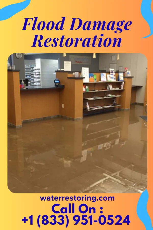 Flood Damage Restoration in Chesterville, OH