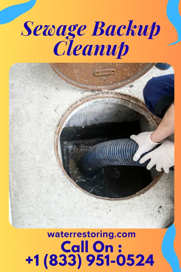 Sewage Backup Cleanup in Chesterville, OH