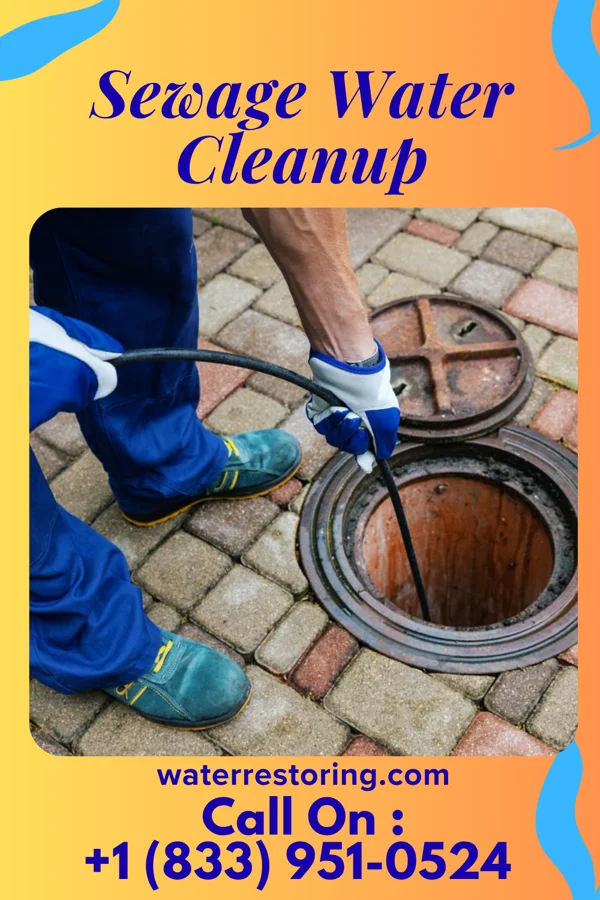 Sewage Water Cleanup in Chesterville, OH