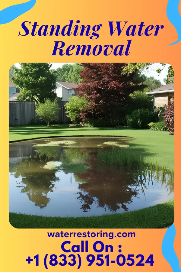 Standing Water Removal in Chesterville, OH